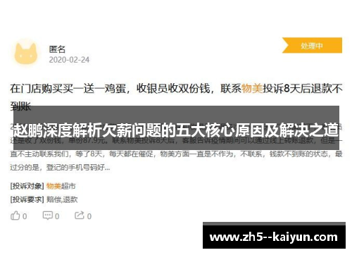 赵鹏深度解析欠薪问题的五大核心原因及解决之道